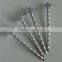 Roofing Nail with 80mm length
