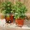 cheap vertical flower pouch with many holes garden baggrow bag holes bottom plant bag