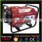 High Performance Micro Electric LPG Power Generator