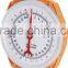 100kg Spring hanging Weighing Scale