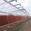 Factory price plastic covered commercial greenhouses