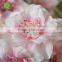 Good quality Artificial Cherry Blossom flower decorative Cherry Blossom for decoration