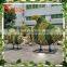 2015 NEW wholesale Grand and magnificent artificial giraffe topiary for park decoration made in guangzhou