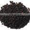 Babchi Seed