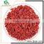 china wholesale market import organic goji berries