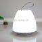 Hot sale battery changing switch on-off table light movable small led camping light for outdoor