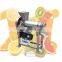 Banana apple lemon pear juice industrial carrot juicer machine