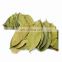 Wholesale dried soursop leaves bulk/Soursop leaves tea/100% Natural Sun Dried Soursop Leaf from Vietnam