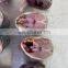 Wholesale IQF frozen sardine for fishing bait