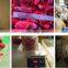 2022 A Grade New Crop IQF Frozen  Red Chilli with Competitive Price