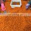 Sinocharm BRC A Approved Frozen Fruit IQF Sea Buckthorn Whole