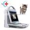 HC-A016V Hot Sale Veterinary LED full digital Vet ultrasound scanner