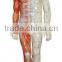 85cm acupuncture model - whole body model