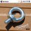 Electro-galvanized DIN 580 Eye Bolt