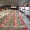 automatic feed equipment