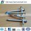 ISO9001:2000 Factory Common Nails