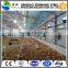 Poultry chicken shed poultry feed light steel structure factory farming equipment