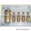 5pcs Brass Air Quick Coupler Set
