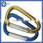 RoHS certificate high quality standard fast delivery Aluminum Quickdraw Carabiner wolesaler from China