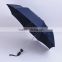 practical eccentric umbrella for personal use