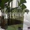 5mm Dark Green Reflective Glass/Coated Glass