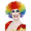 Clown Afro Wig Rainbow Red Orange Green Blue Purple Clueless Circus Unisex