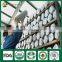 Supplier of Shiitake Mushroom Spawn Growing Kit for Shiitake Mushroom Farm