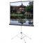 300 inch outdoor holographic black rear projection screen