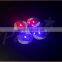 Basic 1 led only light up bottle glorifier sticker