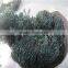cheapest price anti bird net/bird net factory price