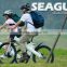 Seagull,cheap electric bike importers