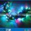 New arrival rgb color changing led christmas lights 110v 24v waterproof