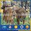 zoo fence,lion cage net with flexible cable mesh
