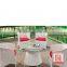 Wicker Ratten Dining table and chair for patio, Outdoor Garden or restaurant