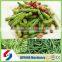 High quality stainless steel bean slicer