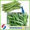 Best selling haricot Beans Heads Ends Cutting Machine