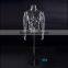 Transparent High Quality Male Mannequin Man Manikin Adult Dummy
