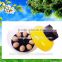 Good quality full automatic mini 8 eggs incubator for chicken, quail, duck eggs. (skype: zhenghang0152@outlook.com)