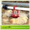 Leon series automatic poultry nipple drinking equipment for chicken shed
