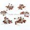 50V Ceramic Capacitor Assortment Kit