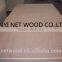 Best price okoume/Bintangor plywood for furniture