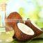 COCONUT OIL, HIGH QUALITY- Vilaconic.export15@gmail.com