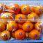 2015 navel orange supplier in china with best price