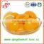 425g fresh delicious yellow peach in can