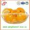 Fresh delicious canned yellow peach in can from factory with competitive price