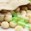 macadamia nut sheller machine/macadamia nut sheller/macadamia nut shelling machine