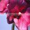 Home garden creepers decoration 110cm height artificial plum colored Phalaenopsis flowers making EHDL02 0808