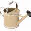 Hot sell 5L 7L 8L 10L Decoration Zinc Watering Can