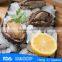 frozen abalone meat with shell