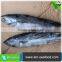 Carton or Woven Bag Packed Fat Content 16%-18% Cleaned Bonito